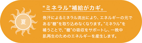 夏