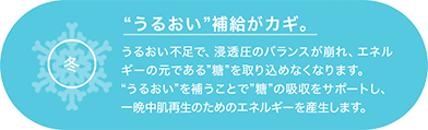 冬
