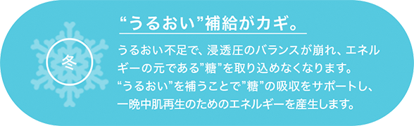 冬