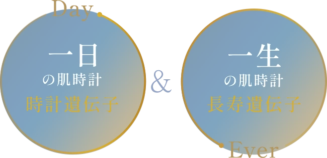 2つの肌時計