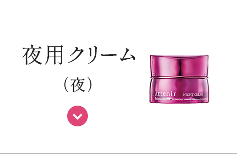 夜用クリーム＜夜＞