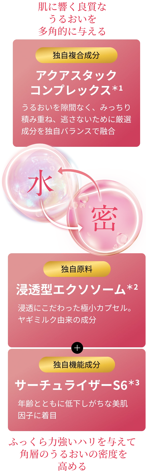 肌に響く良質な うるおいを 多角的に与える 複合機能成分 アクアスタックコンプレックス＊1 うるおいを隙間なく、みっちり積み重ね、逃さないために厳選成分を独自バランスで融合 水 密 ふっくら力強いハリを与えて 角層のうるおいの 密度を高める 独自原料 浸透型エクソソーム＊2 浸透にこだわった極小カプセル。ヤギミルク由来の成分 独自機能成分 サーチュライザーS6＊3 年齢とともに低下しがちな美肌因子に着目