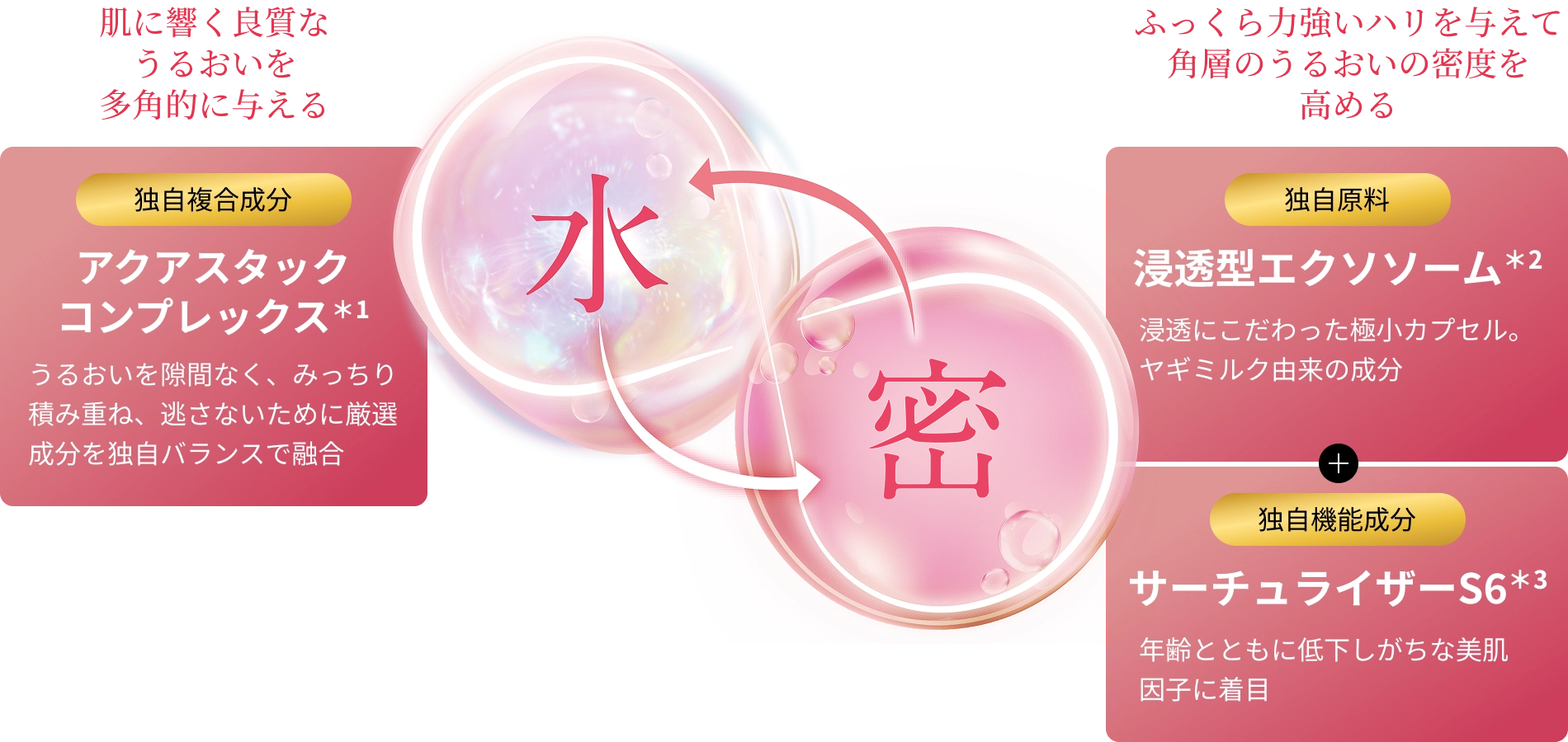 肌に響く良質な うるおいを 多角的に与える 複合機能成分 アクアスタックコンプレックス＊1 うるおいを隙間なく、みっちり積み重ね、逃さないために厳選成分を独自バランスで融合 水 密 ふっくら力強いハリを与えて 角層のうるおいの 密度を高める 独自原料 浸透型エクソソーム＊2 浸透にこだわった極小カプセル。ヤギミルク由来の成分 独自機能成分 サーチュライザーS6＊3 年齢とともに低下しがちな美肌因子に着目