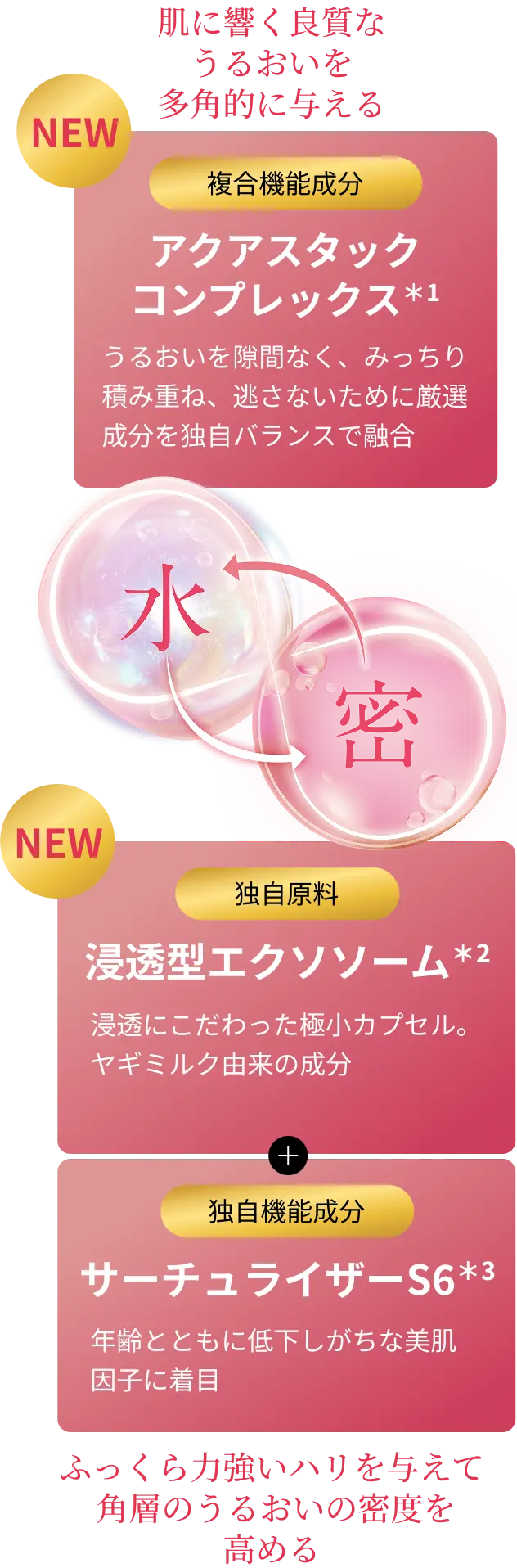 肌に響く良質な うるおいを 多角的に与える 複合機能成分 アクアスタックコンプレックス＊1 うるおいを隙間なく、みっちり積み重ね、逃さないために厳選成分を独自バランスで融合 水 密 ふっくら力強いハリを与えて 角層のうるおいの 密度を高める 独自原料 浸透型エクソソーム＊2 浸透にこだわった極小カプセル。ヤギミルク由来の成分 独自機能成分 サーチュライザーS6＊3 年齢とともに低下しがちな美肌因子に着目